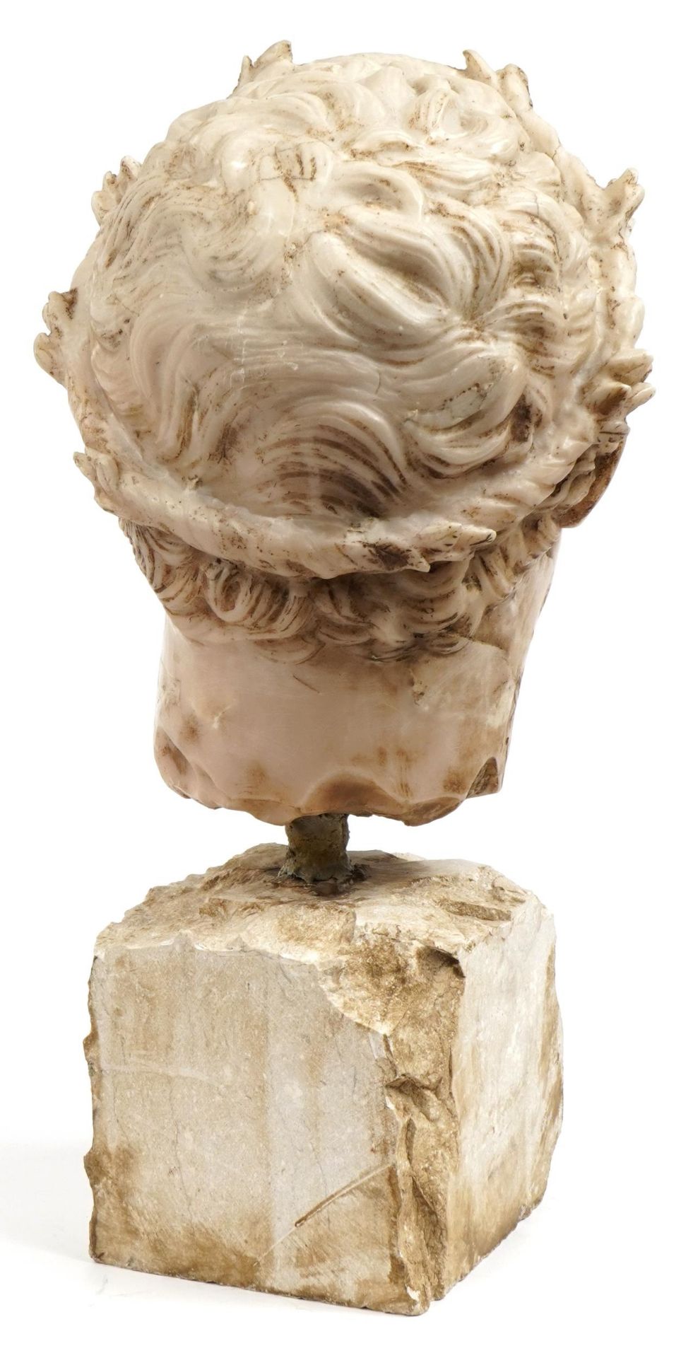 Large classical bust of a Roman Emperor, 50cm high - Bild 2 aus 3