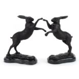 Pair of patinated bronze boxing hares raised on marble bases, each 30cm high