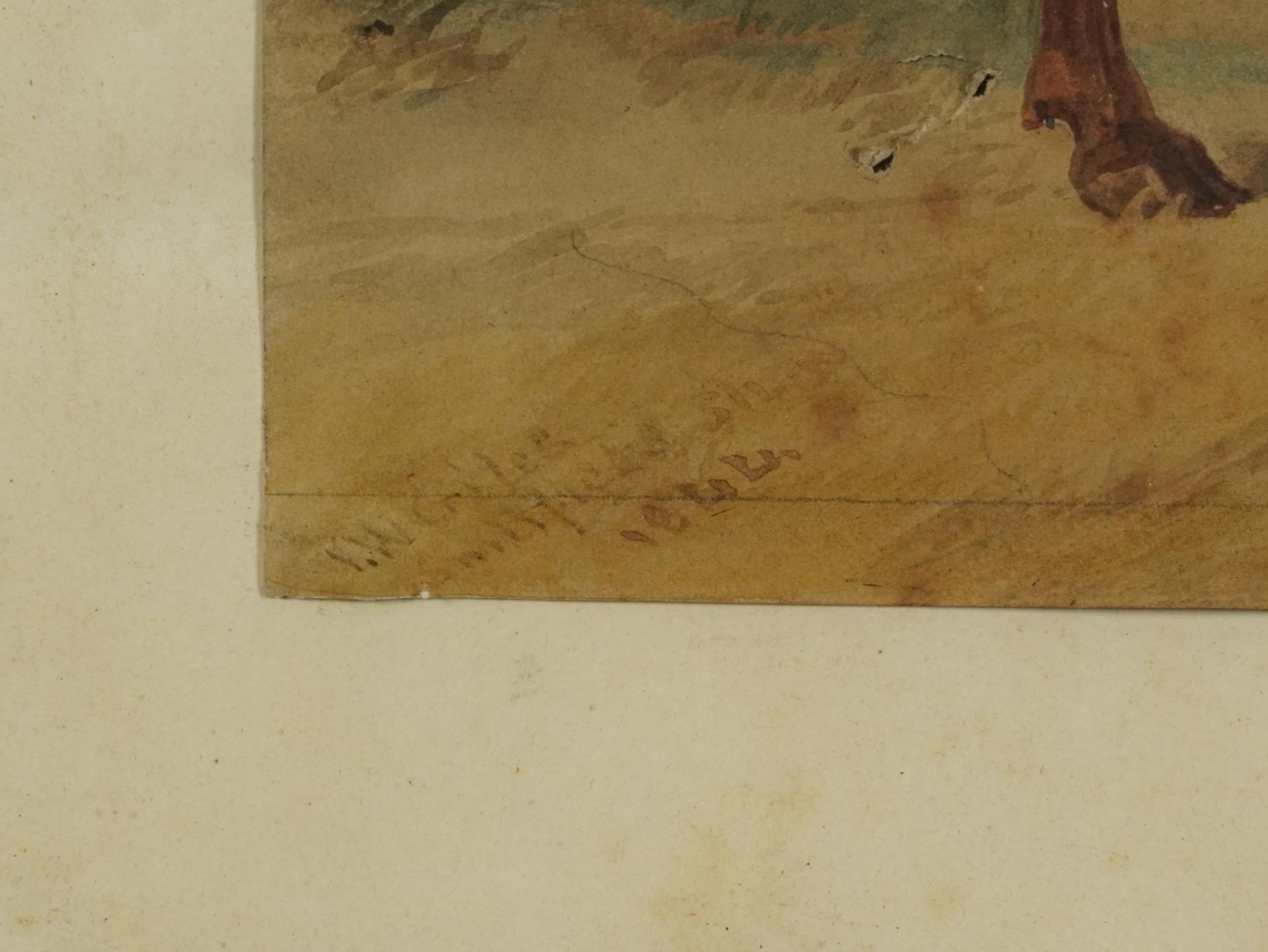 Portrait of a bull, Shown at Smithfield 1844, mid 19th century watercolour, indistinctly signed - Bild 3 aus 5