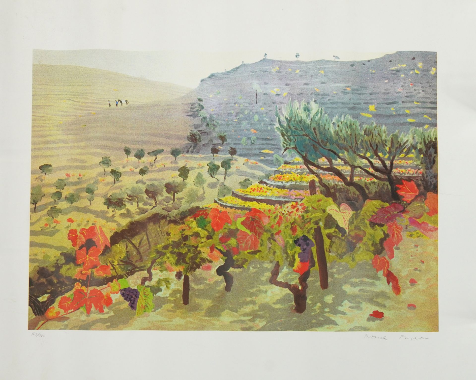 Patrick Proctor - Grape Fields, pencil signed print in colour, limited edition 163/180, unframed, - Bild 2 aus 4