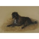 Mary Browning 1972 - Portrait of a dog called Jessie, signed pastel, mounted, framed and glazed,