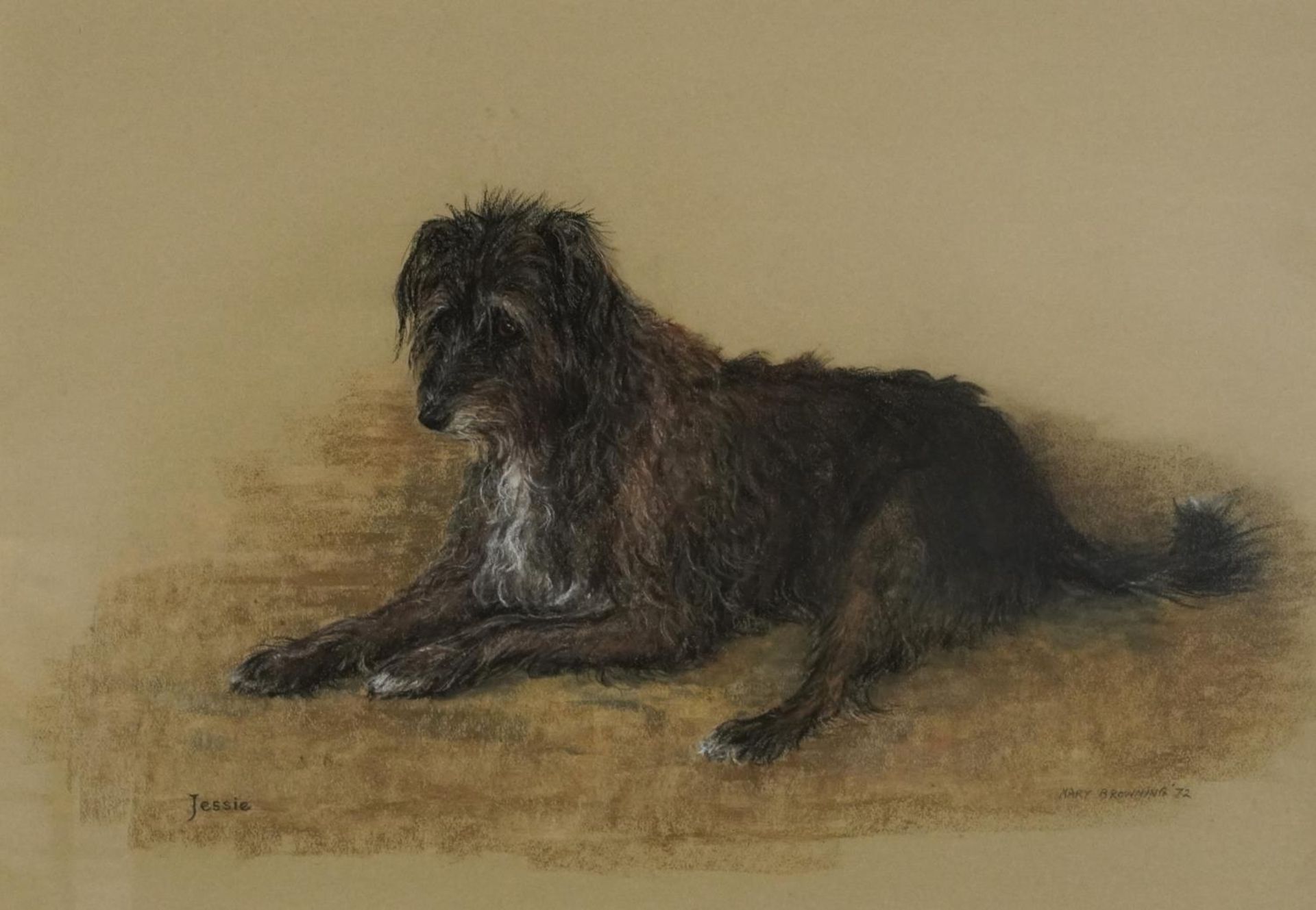 Mary Browning 1972 - Portrait of a dog called Jessie, signed pastel, mounted, framed and glazed,