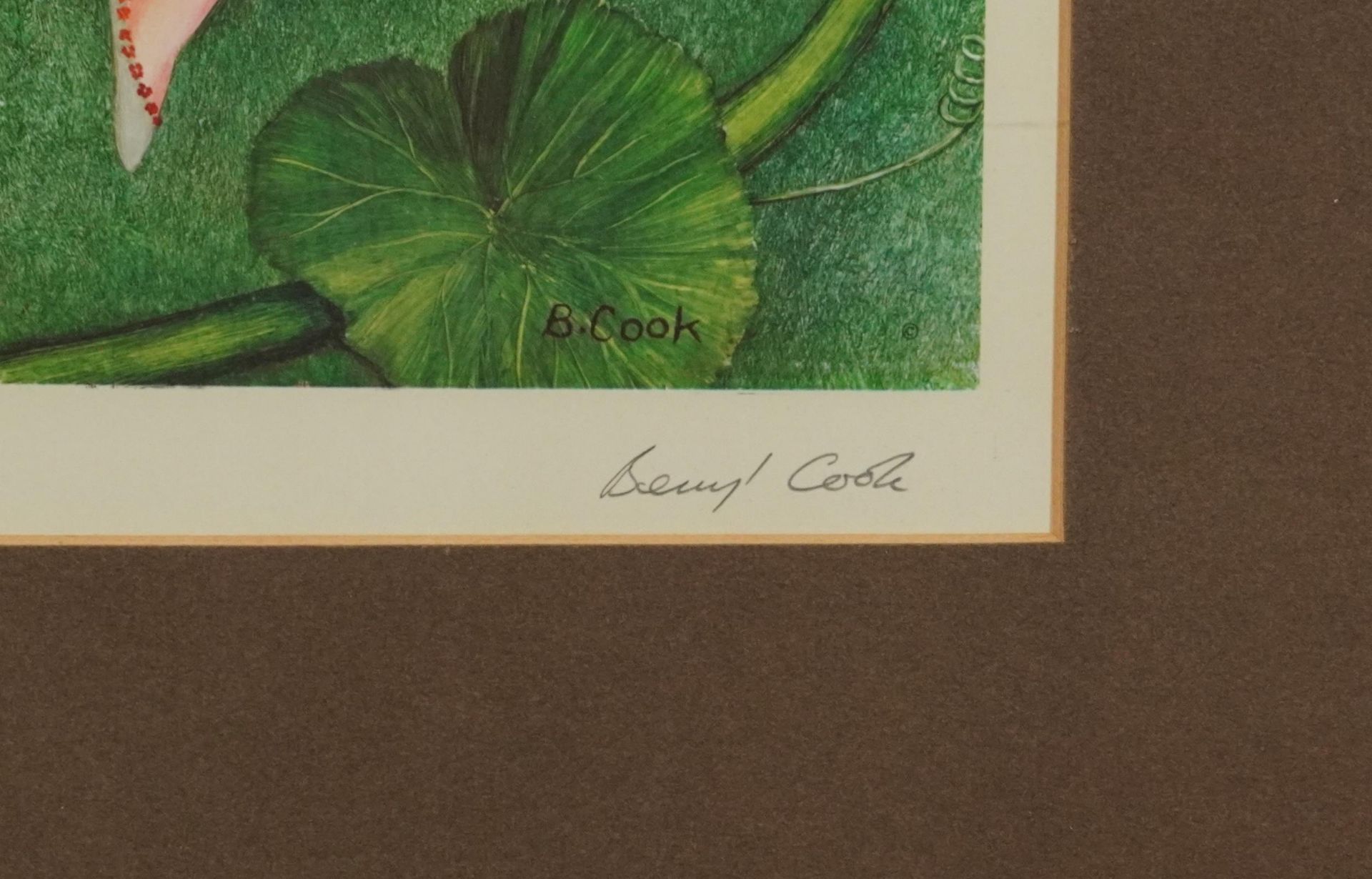 Beryl Cook - Fairy Dell, pencil signed print in colour with embossed watermark, mounted, framed - Bild 3 aus 5