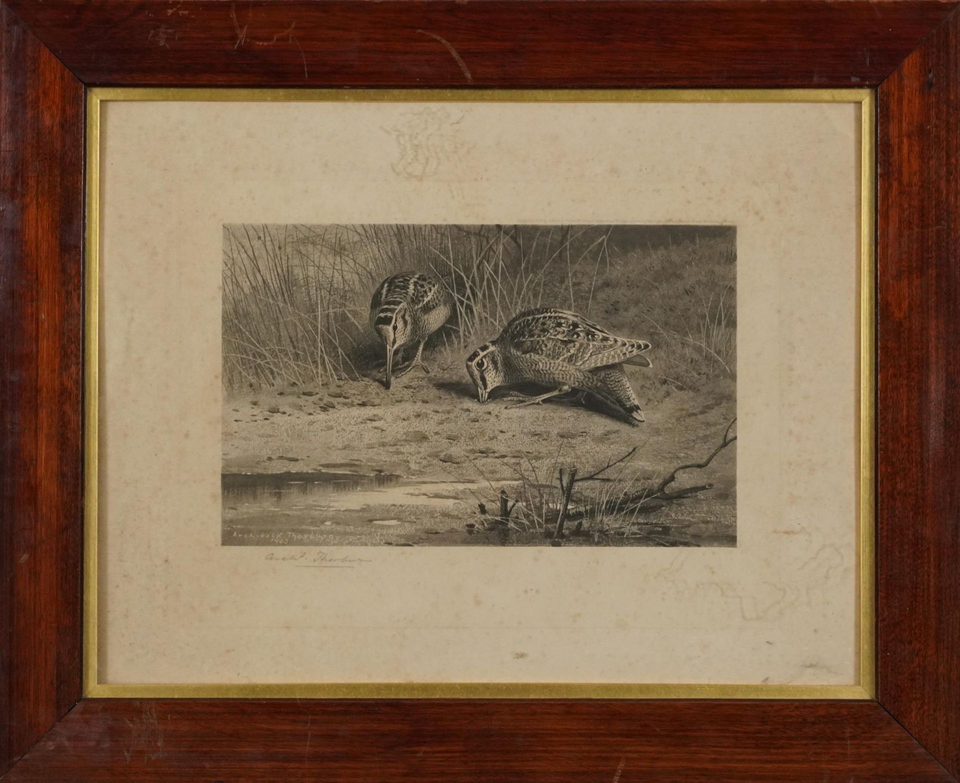 Archibald Thorburn - Birds and ducks before landscapes, six pencil signed prints in colour, three - Bild 3 aus 26