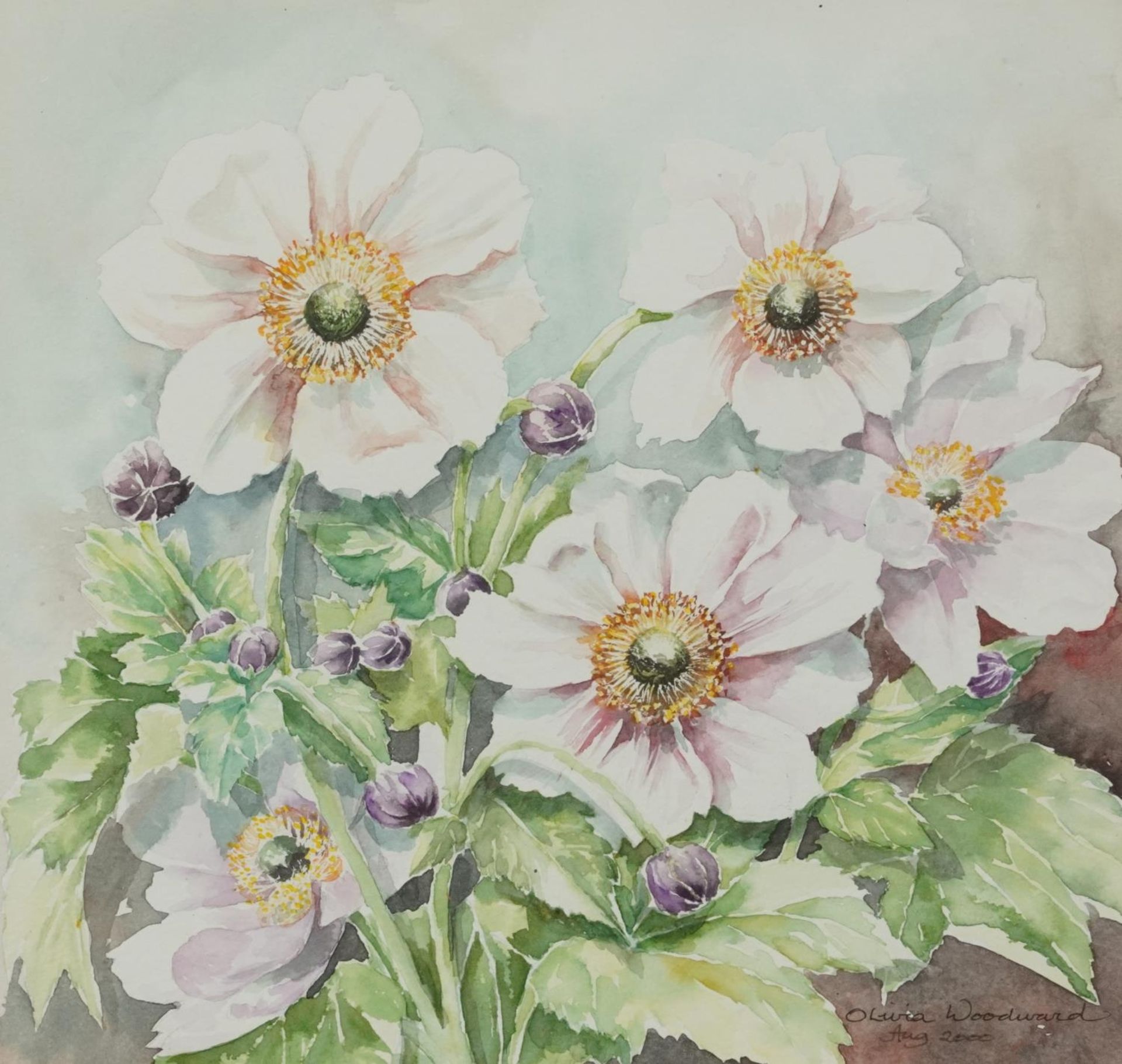 Olivia Woodward - Still life, roses and flowers, pair of watercolours, each mounted, framed and - Image 6 of 9