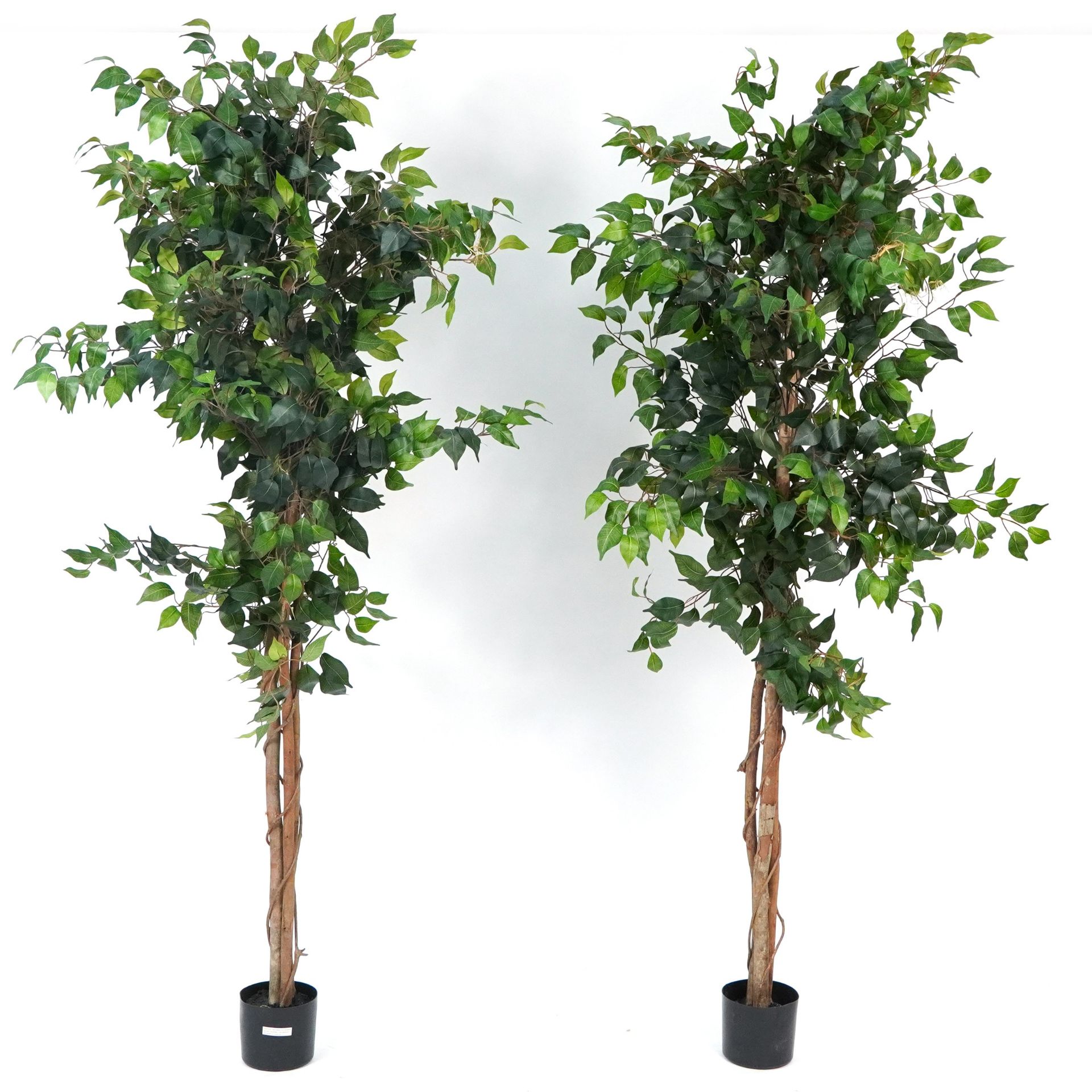 Two floor standing artificial houseplants, 185cm high - Bild 2 aus 2