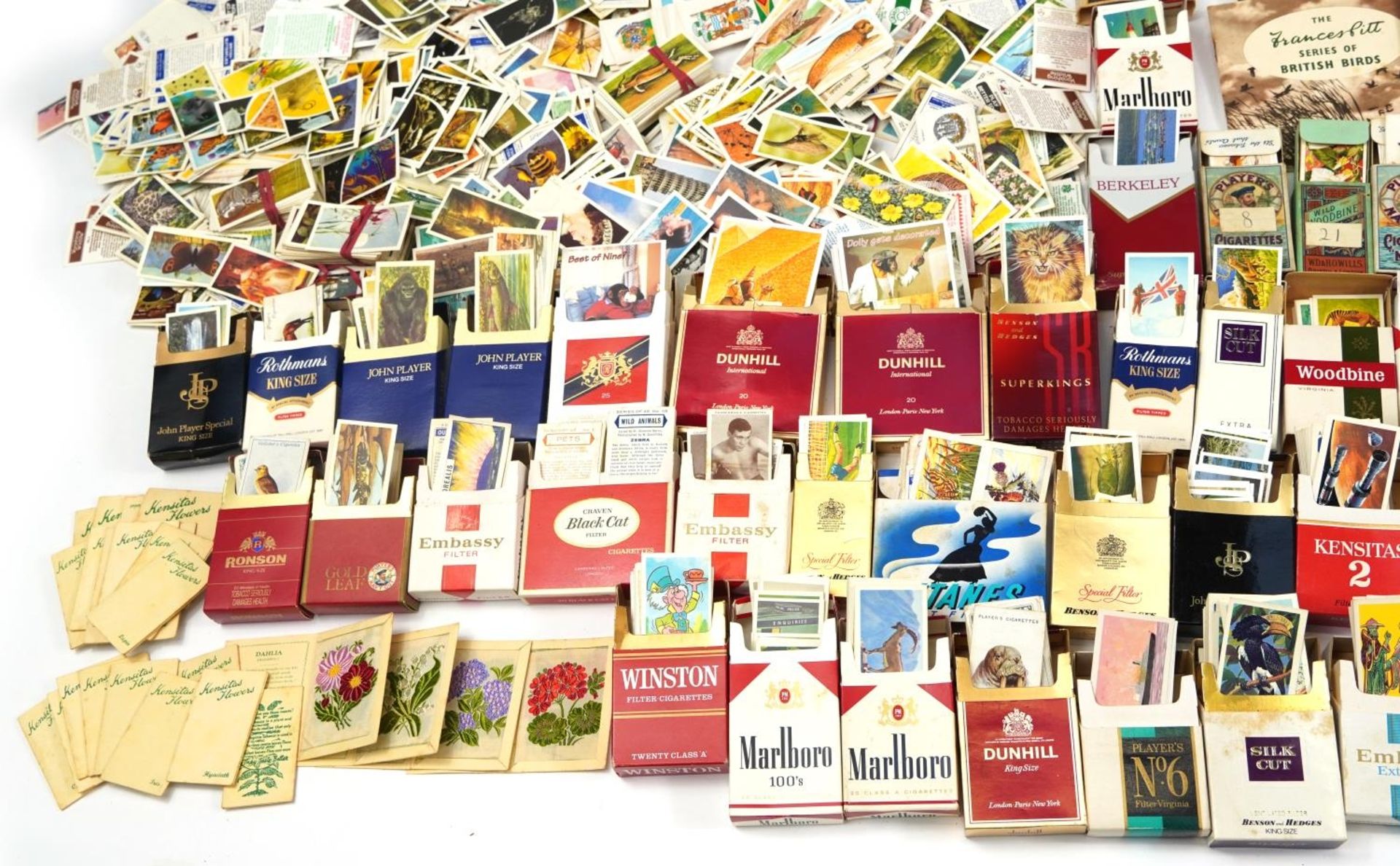 Extensive collection of cigarette and tea cards, some arranged in albums including Brooke Bond - Image 5 of 11