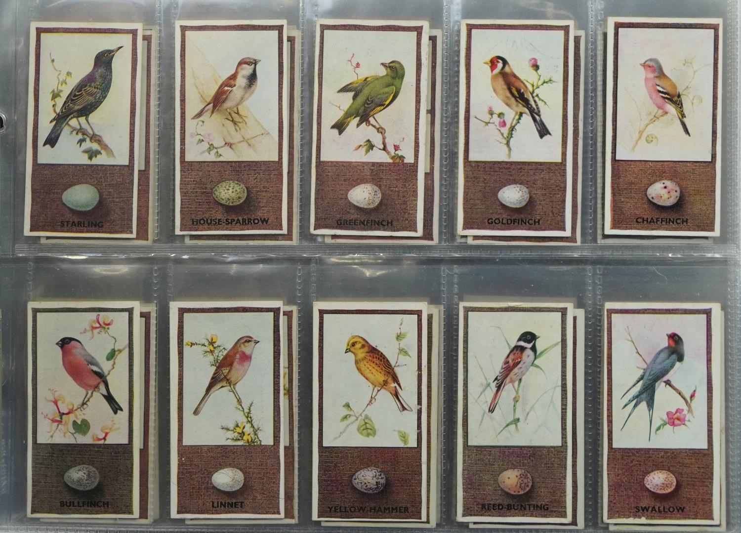 Large collection of cigarette cards arranged in four albums including W D & H O Wills - Image 7 of 8