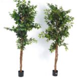 Two floor standing artificial houseplants, 185cm high