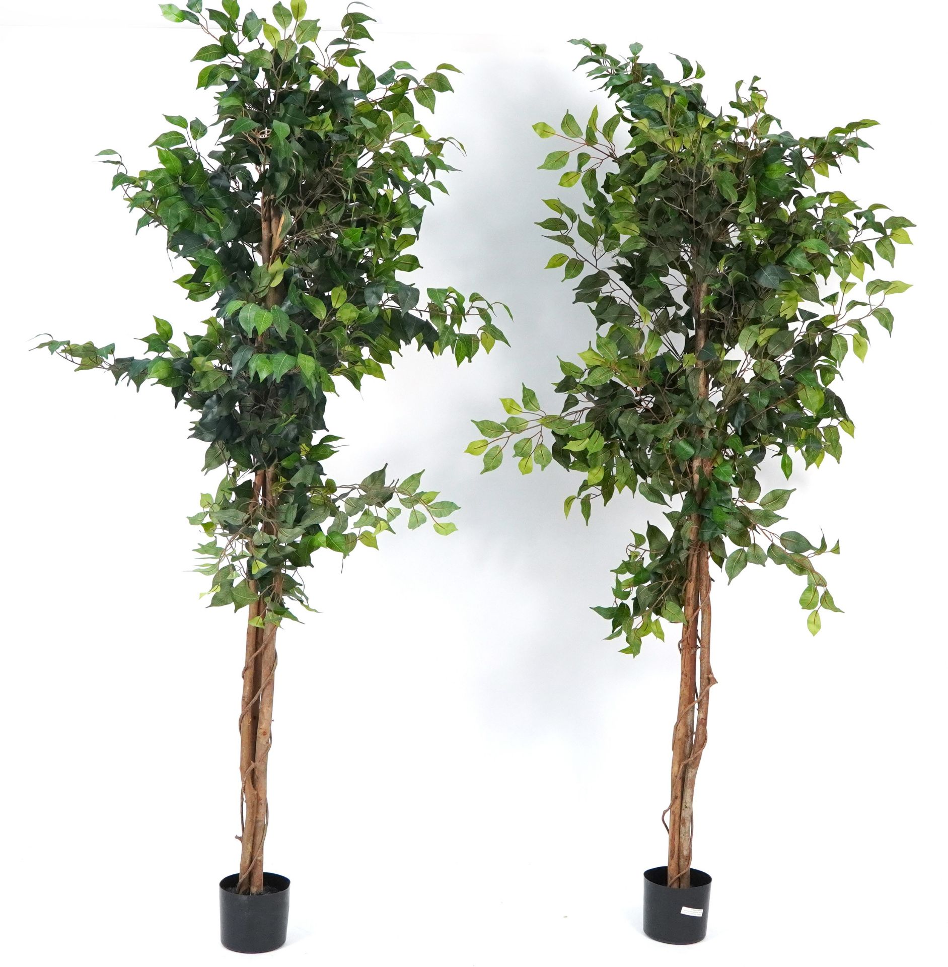 Two floor standing artificial houseplants, 185cm high