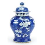 Chinese blue and white porcelain baluster jar and cover hand painted with prunus flowers, Kangxi