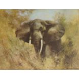 David Shepherd - Wild Elephant, pencil signed print in colour, inscribed verso by the artist,