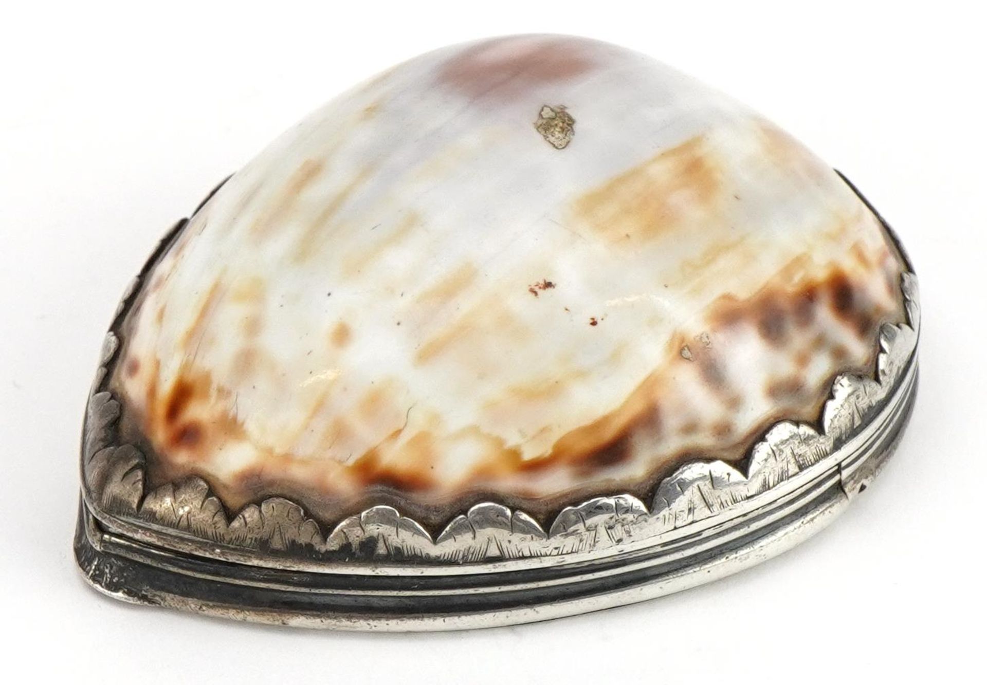 Antique continental silver mounted cowrie shell snuff box, impressed I. C maker's mark to the