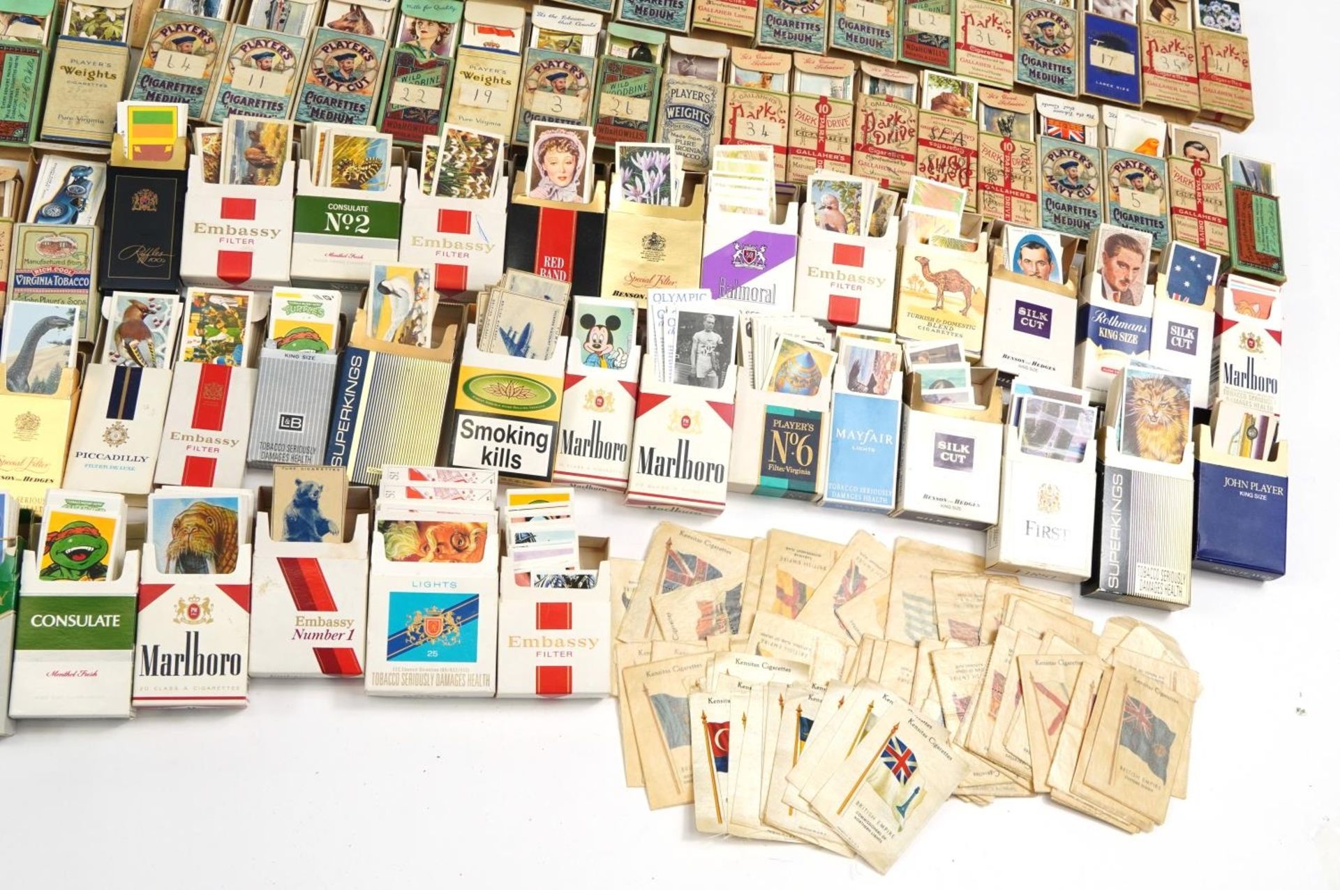 Extensive collection of cigarette and tea cards, some arranged in albums including Brooke Bond - Image 7 of 11