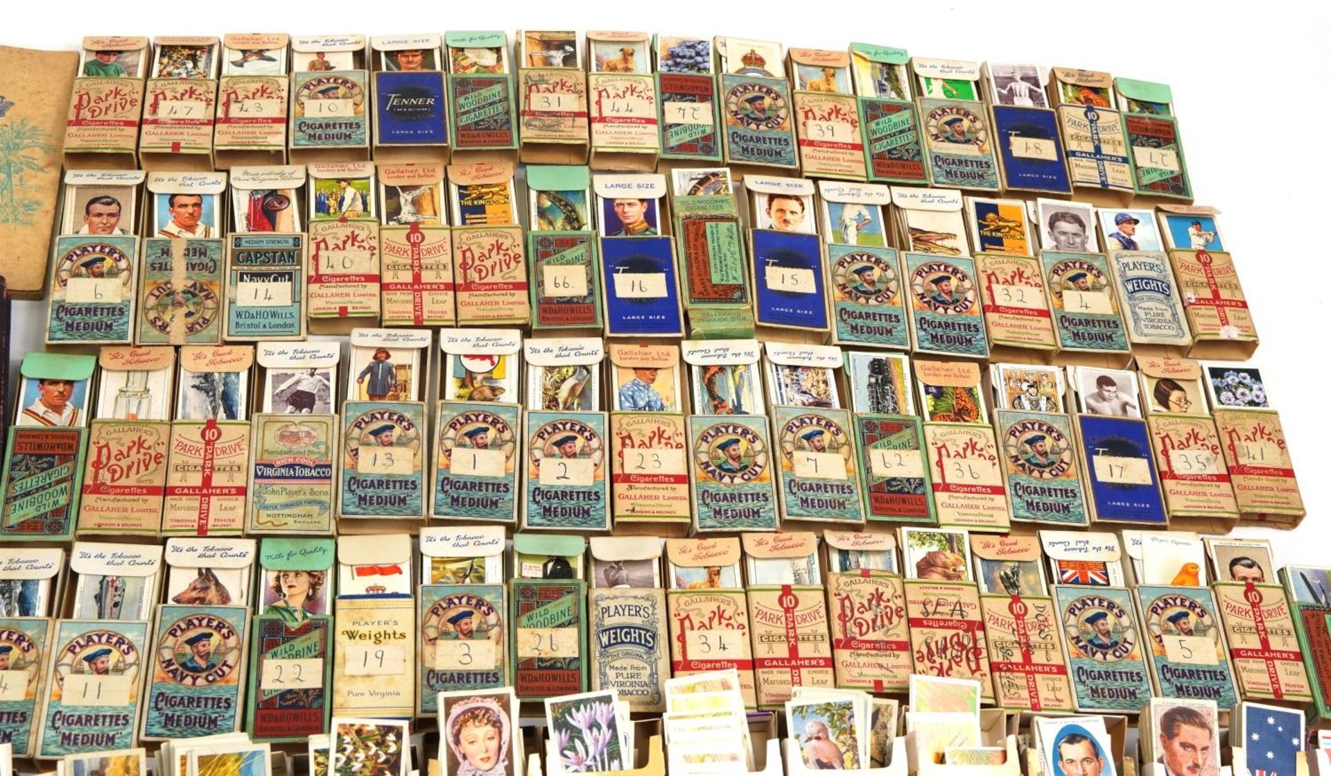 Extensive collection of cigarette and tea cards, some arranged in albums including Brooke Bond - Image 4 of 11