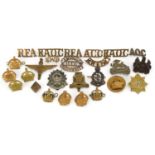 Military interest cap badges and shoulder titles including Royal Berkshire, Bedfordshire &