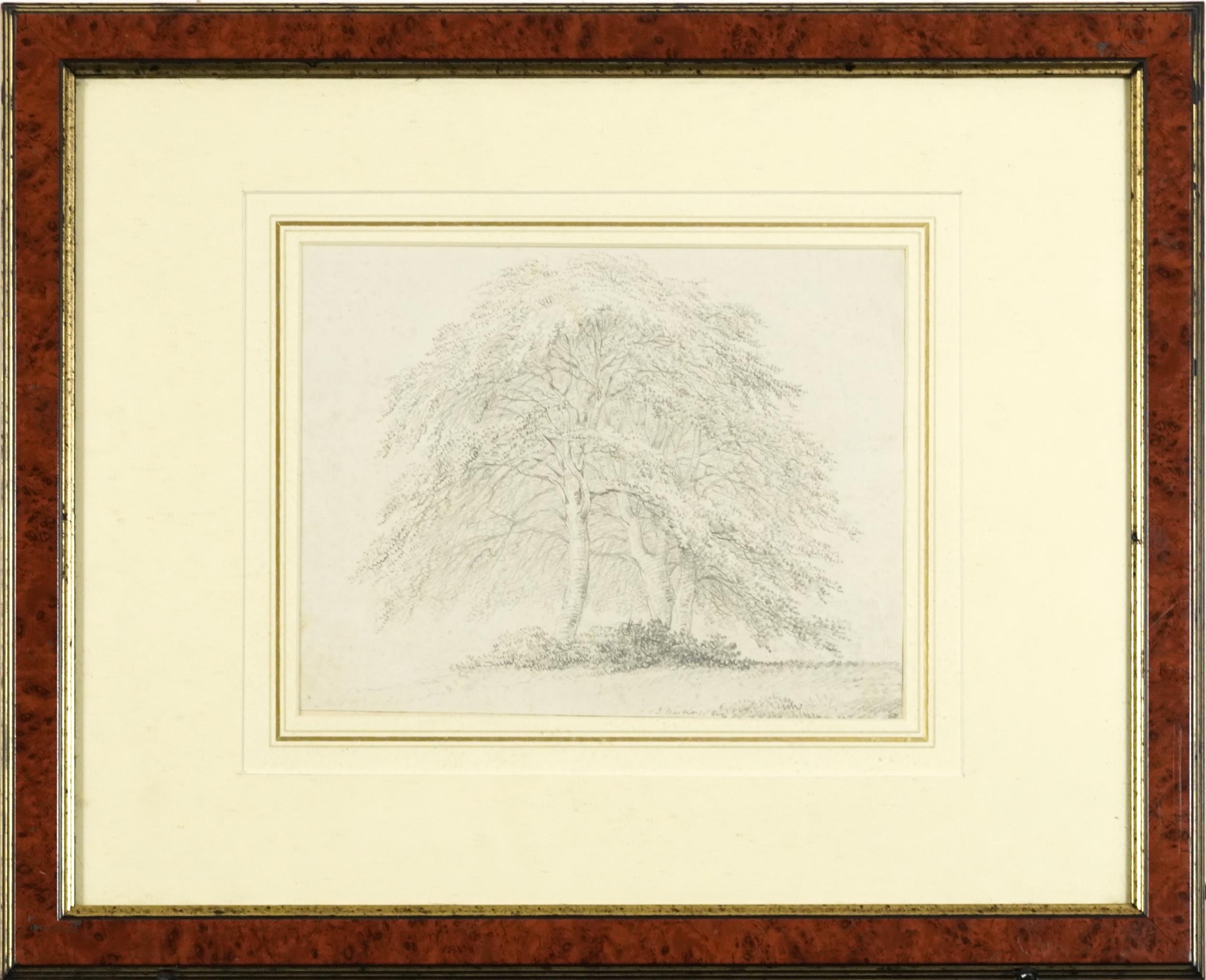 Joseph Barber - Study of trees, 19th century pencil sketch, inscribed Joseph Barber verso, - Image 2 of 5