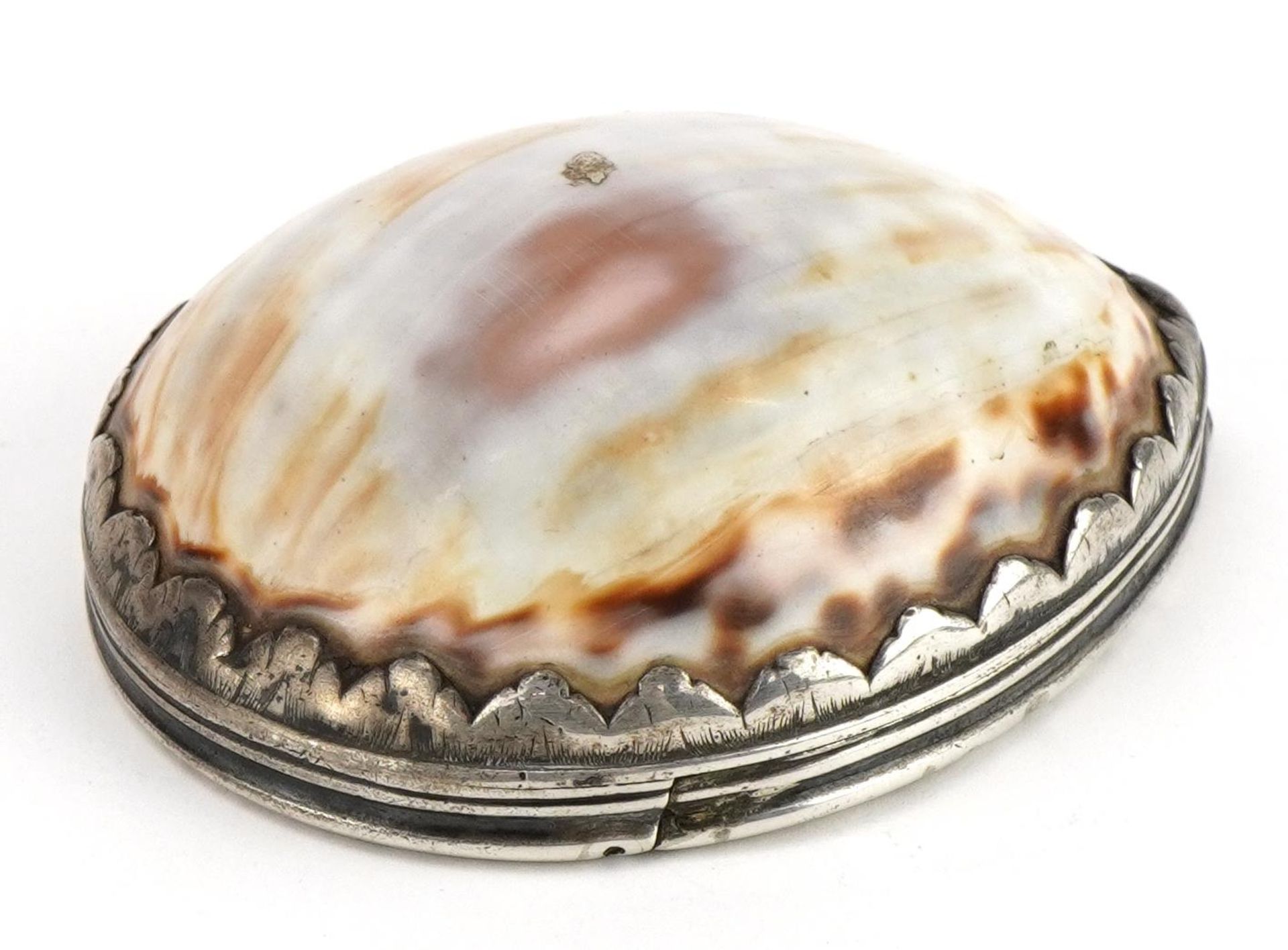 Antique continental silver mounted cowrie shell snuff box, impressed I. C maker's mark to the - Image 2 of 4