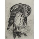 Timothy J Greenwood - Study of an owl, pencil signed print, limited edition 22/50, mounted, framed