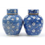 Pair of Chinese blue and white porcelain ginger jars and covers hand painted with prunus flowers,