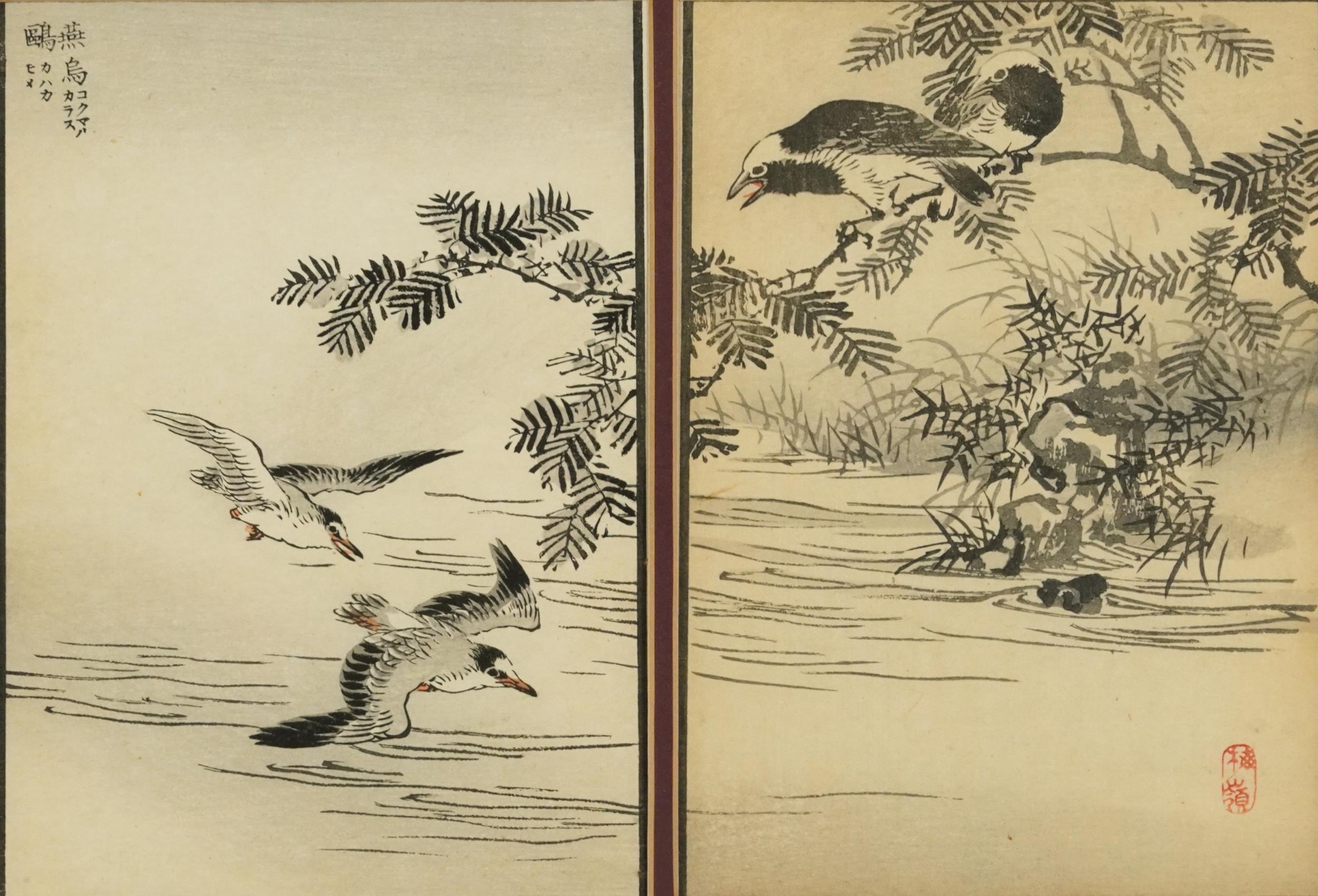 Kono Naotoyo Bairei - Birds in flight and birds above water, pair of Japanese woodblock prints