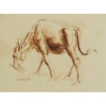 James Woodford RA - Study of a donkey, sepia watercolour, label verso, mounted, framed and glazed,
