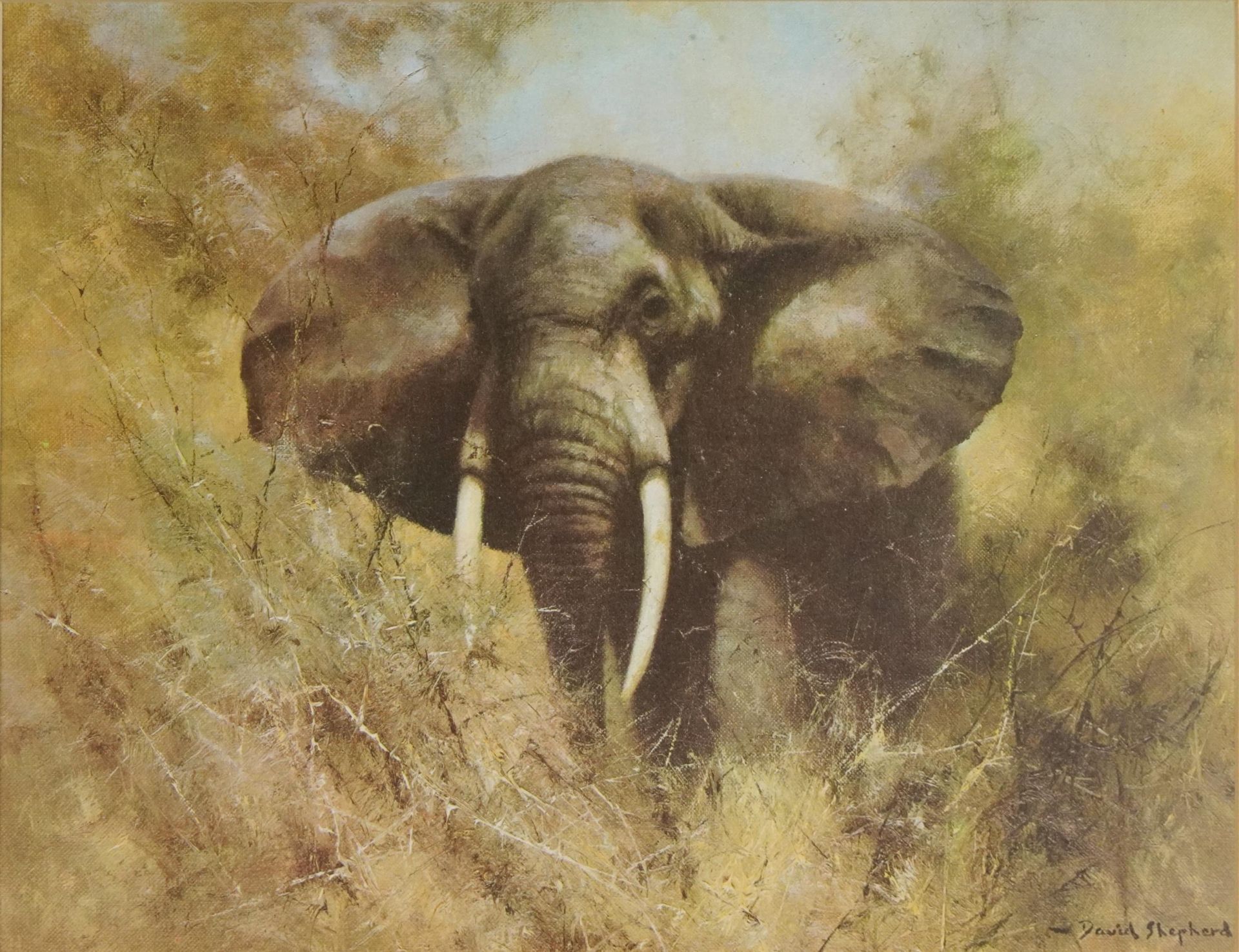 David Shepherd - Wild Elephant, pencil signed print in colour, inscribed verso by the artist,