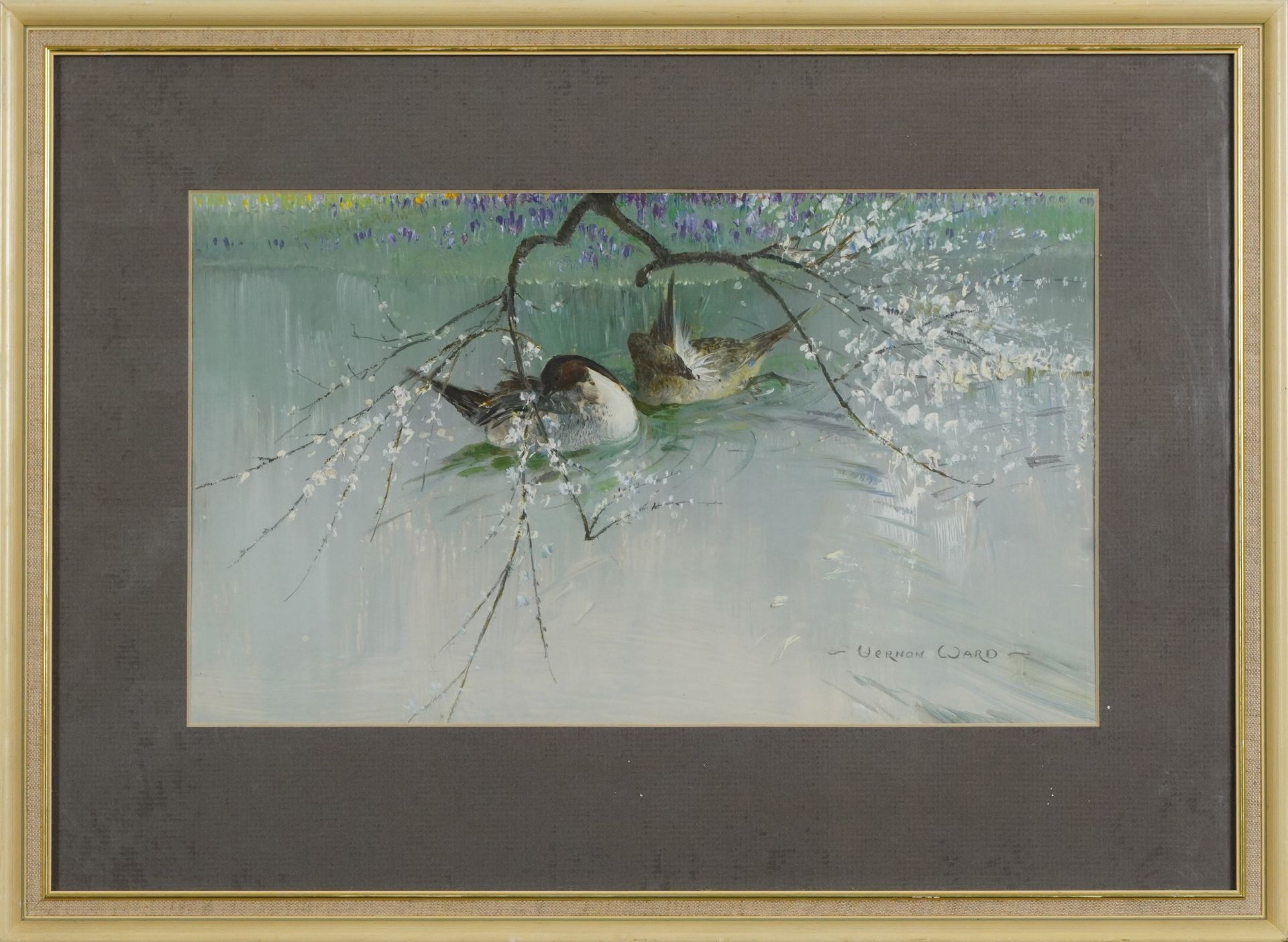 Vernon Ward - Two ducks on water, impasto oil, with receipt and Beckstones Gallery label verso, - Image 2 of 4