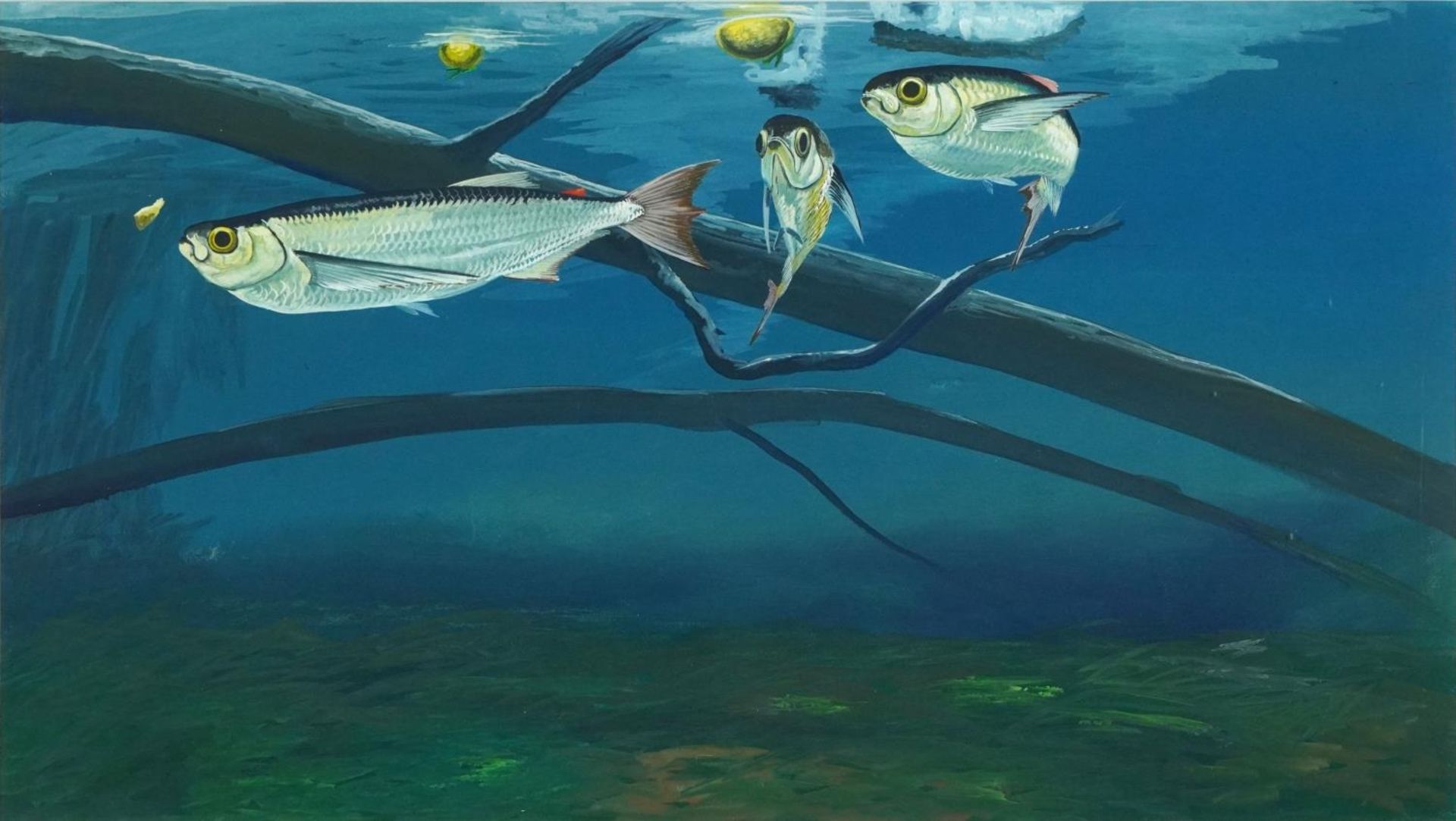 Gordon Howes - Trout, acrylic, details and La Beaute des Poissons label verso, mounted, framed and