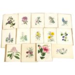 Collection of antique hand coloured botanical prints and bookplates, the largest approximately