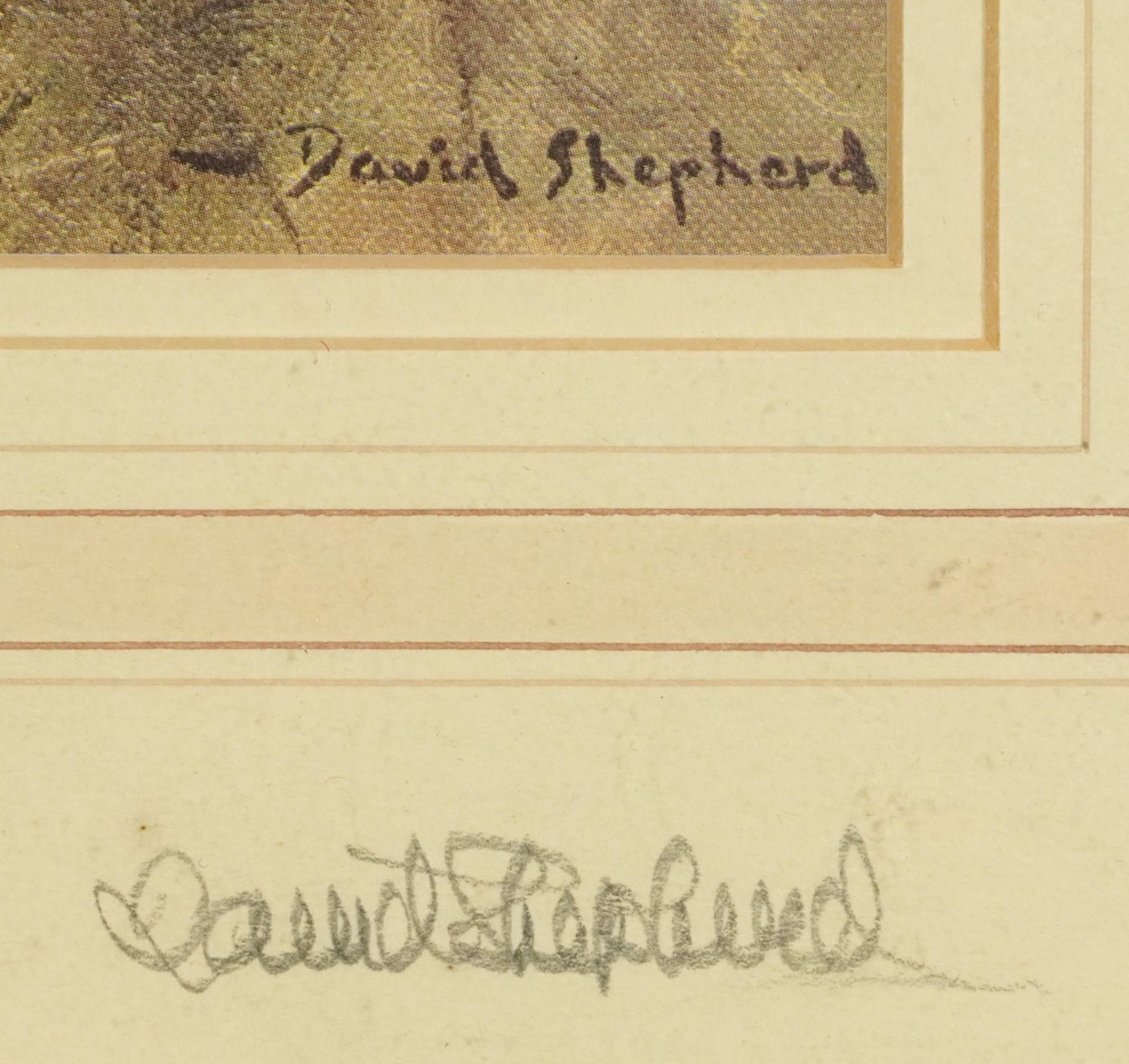 David Shepherd - Wild Elephant, pencil signed print in colour, inscribed verso by the artist, - Image 3 of 5