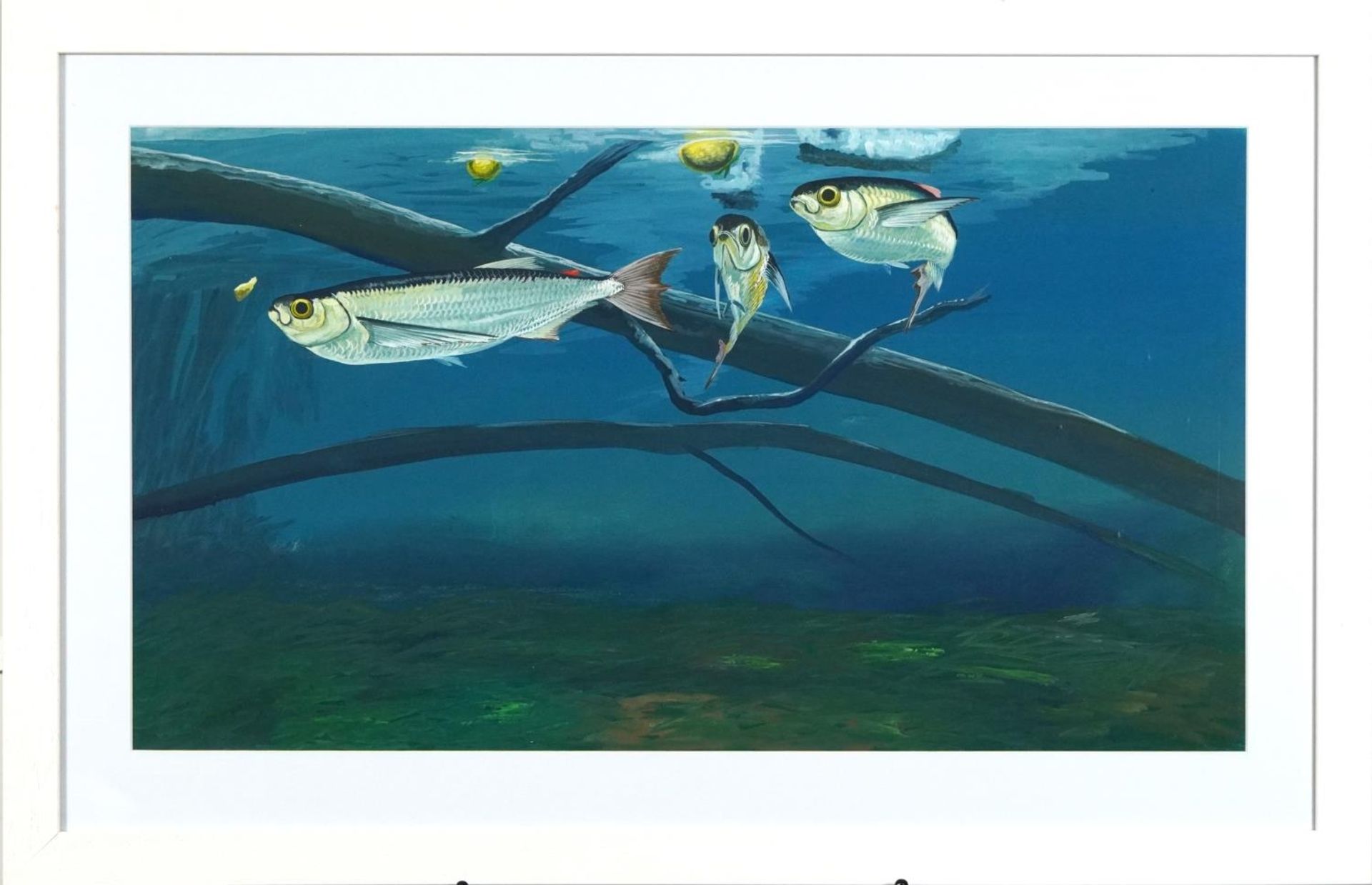 Gordon Howes - Trout, acrylic, details and La Beaute des Poissons label verso, mounted, framed and - Image 2 of 5