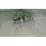 Vernon Ward - Two ducks on water, impasto oil, with receipt and Beckstones Gallery label verso,