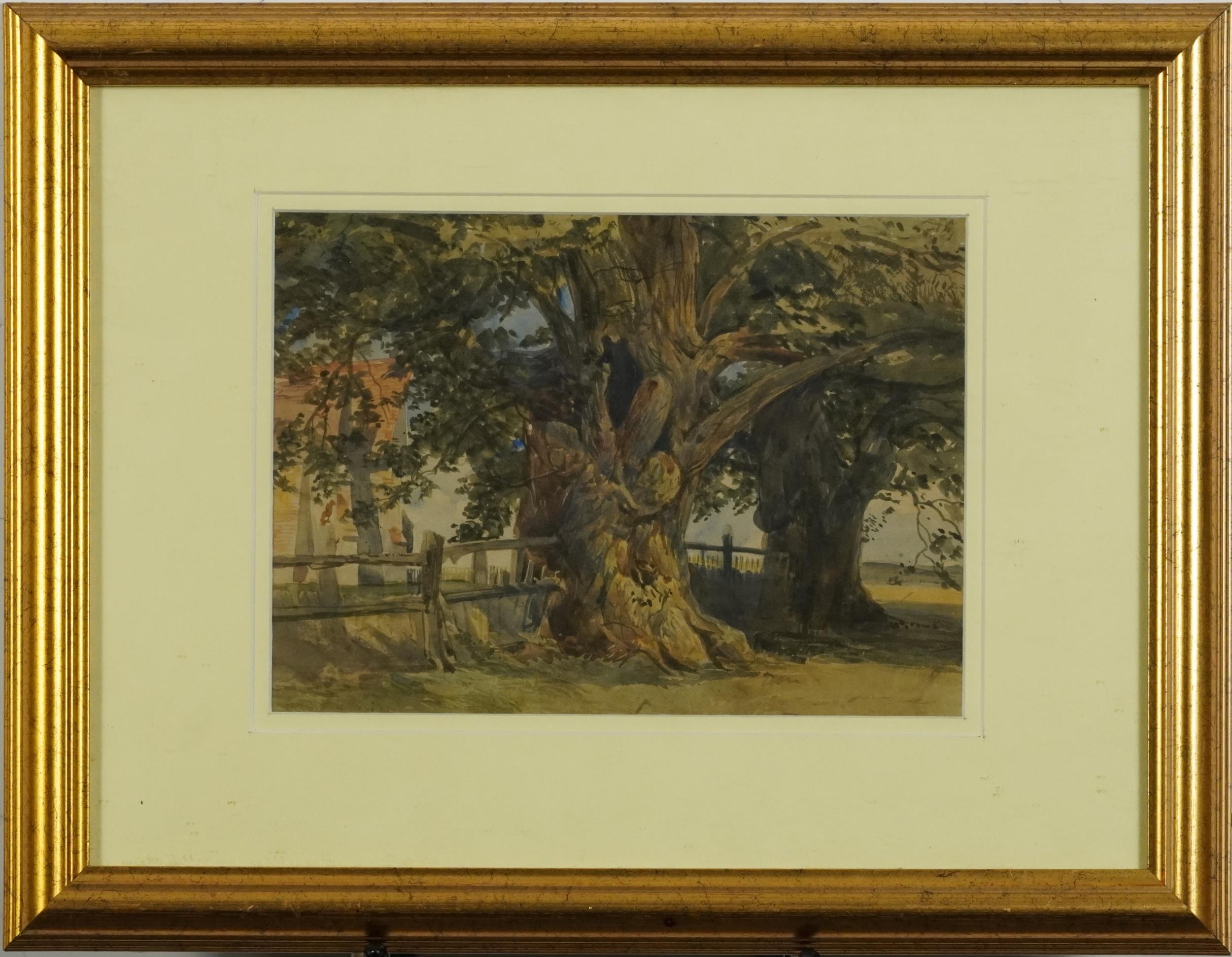 Manner of Charles Rowbotham - Two trees, late 19th/early 20th century watercolour, possibly - Image 2 of 5