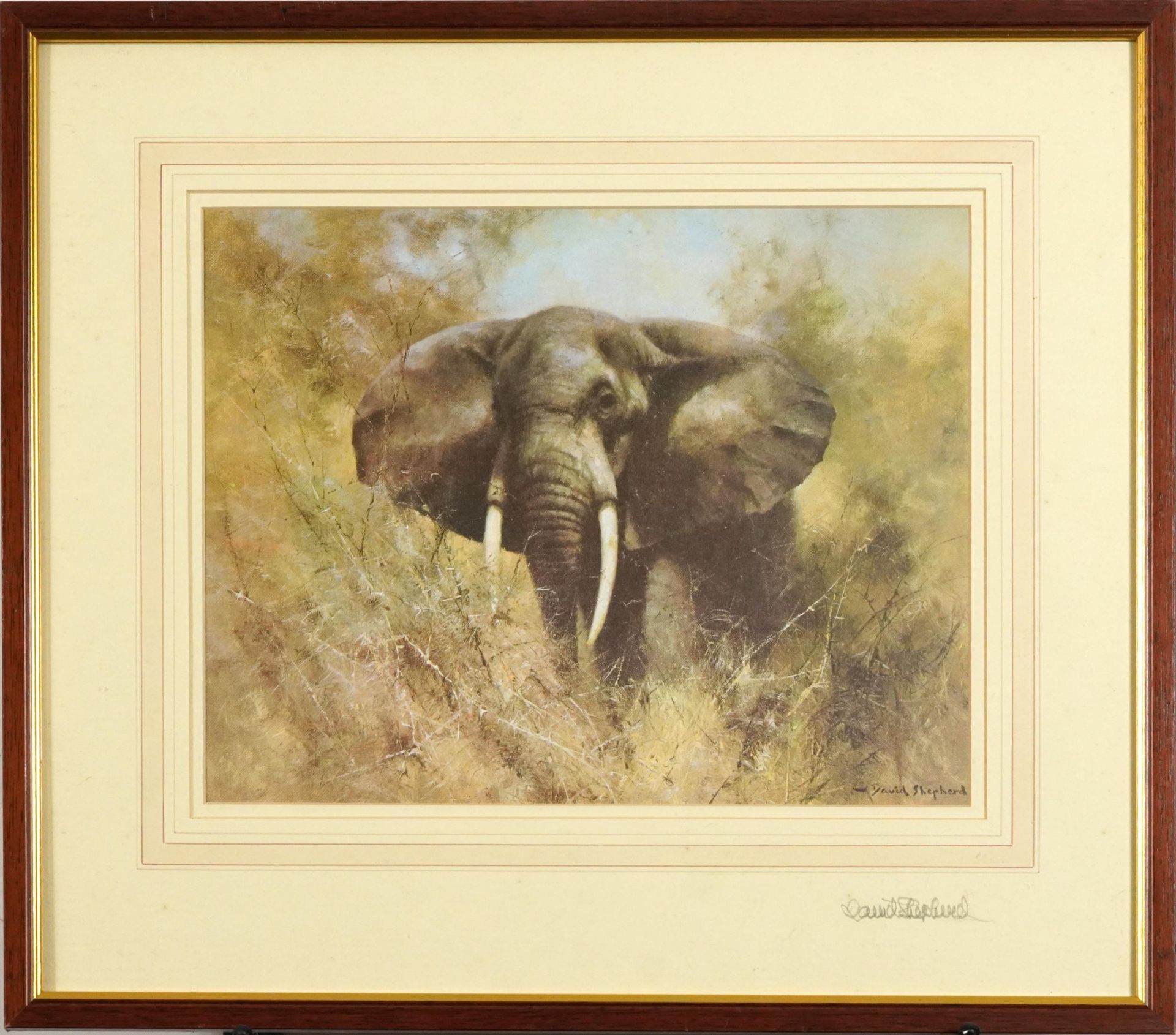 David Shepherd - Wild Elephant, pencil signed print in colour, inscribed verso by the artist, - Image 2 of 5