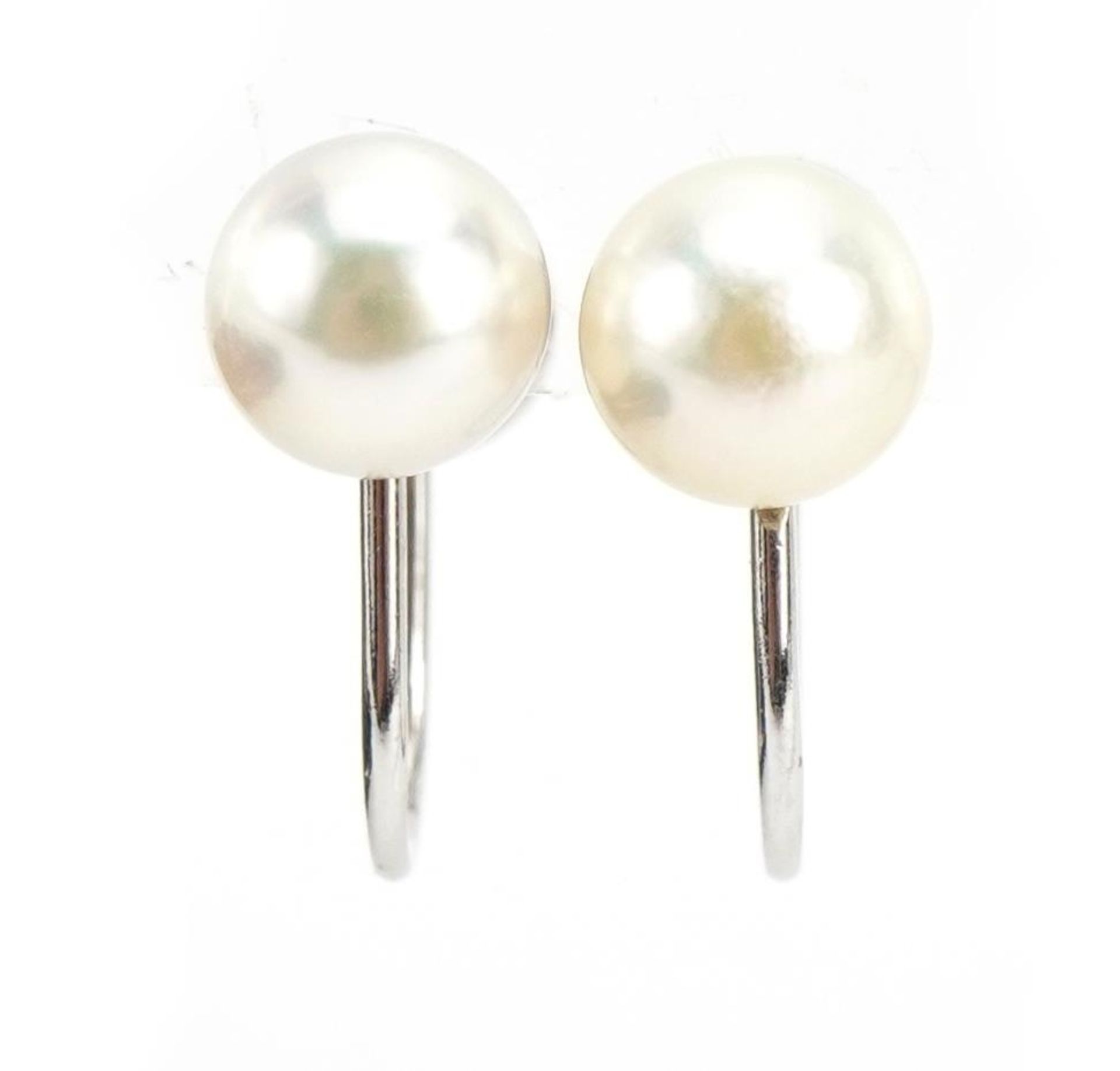 Pair of 14ct white gold cultured pearl earrings with screw backs, 1.2cm high, 1.6g : For further