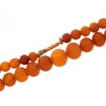 Butterscotch amber coloured graduated bead necklace, the largest bead 11mm in diameter, 42cm in