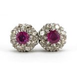 Pair of unmarked white gold ruby and diamond two tier cluster stud earrings, each ruby approximately