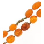 Butterscotch amber coloured graduated bead necklace, the largest bead 1.7cm in length, 54cm in