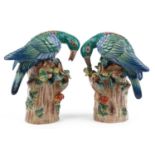 Manner of Sevres, large pair of continental porcelain birds, the largest 31cm high : For further