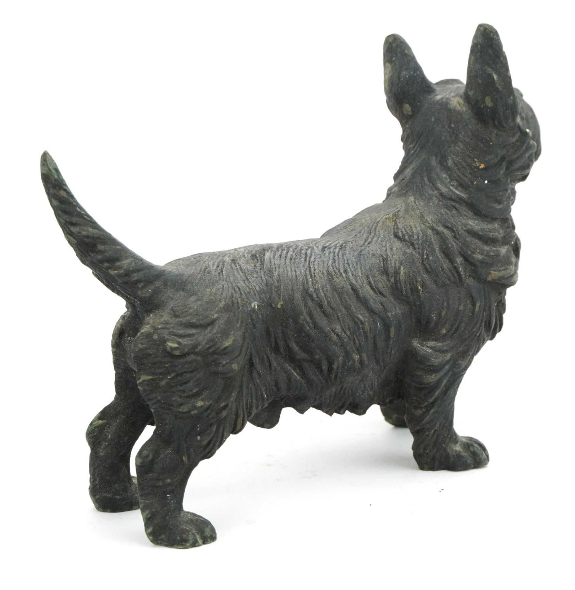 Cold painted bronze Scottie dog, 15.5cm in length : For further information on this lot please - Image 2 of 3