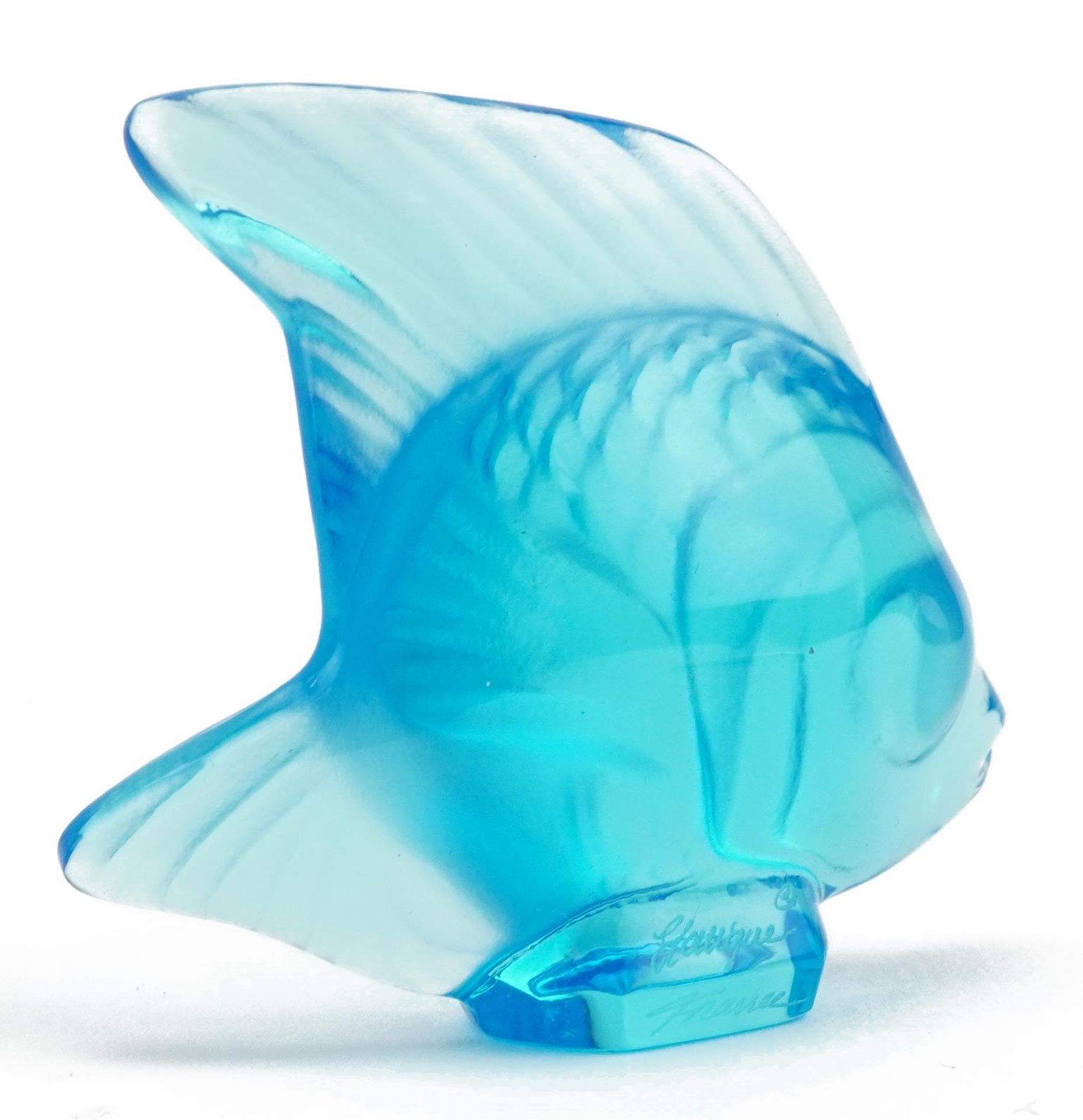 Lalique France, blue glass angel fish with box, etched Lalique France, 4.8cm high : For further - Image 3 of 5