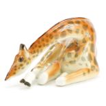 Russian USSR porcelain giraffe, 25.5cm wide : For further information on this lot please contact the
