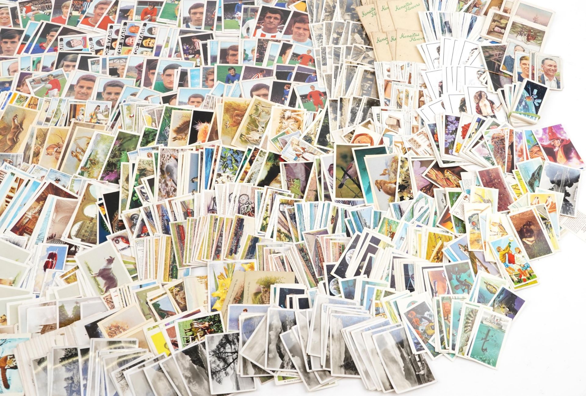 Large collection of cigarette cards : For further information on this lot please contact the - Bild 5 aus 5