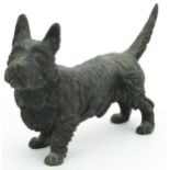 Cold painted bronze Scottie dog, 15.5cm in length : For further information on this lot please