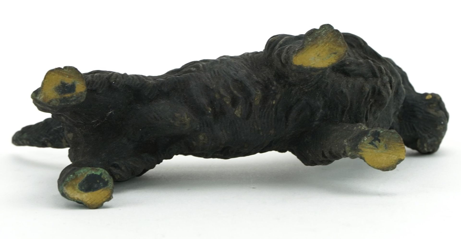 Cold painted bronze Scottie dog, 15.5cm in length : For further information on this lot please - Image 3 of 3