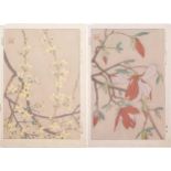 Flowers and leaves, pair of Japanese woodblock prints with character marks and red seal marks,