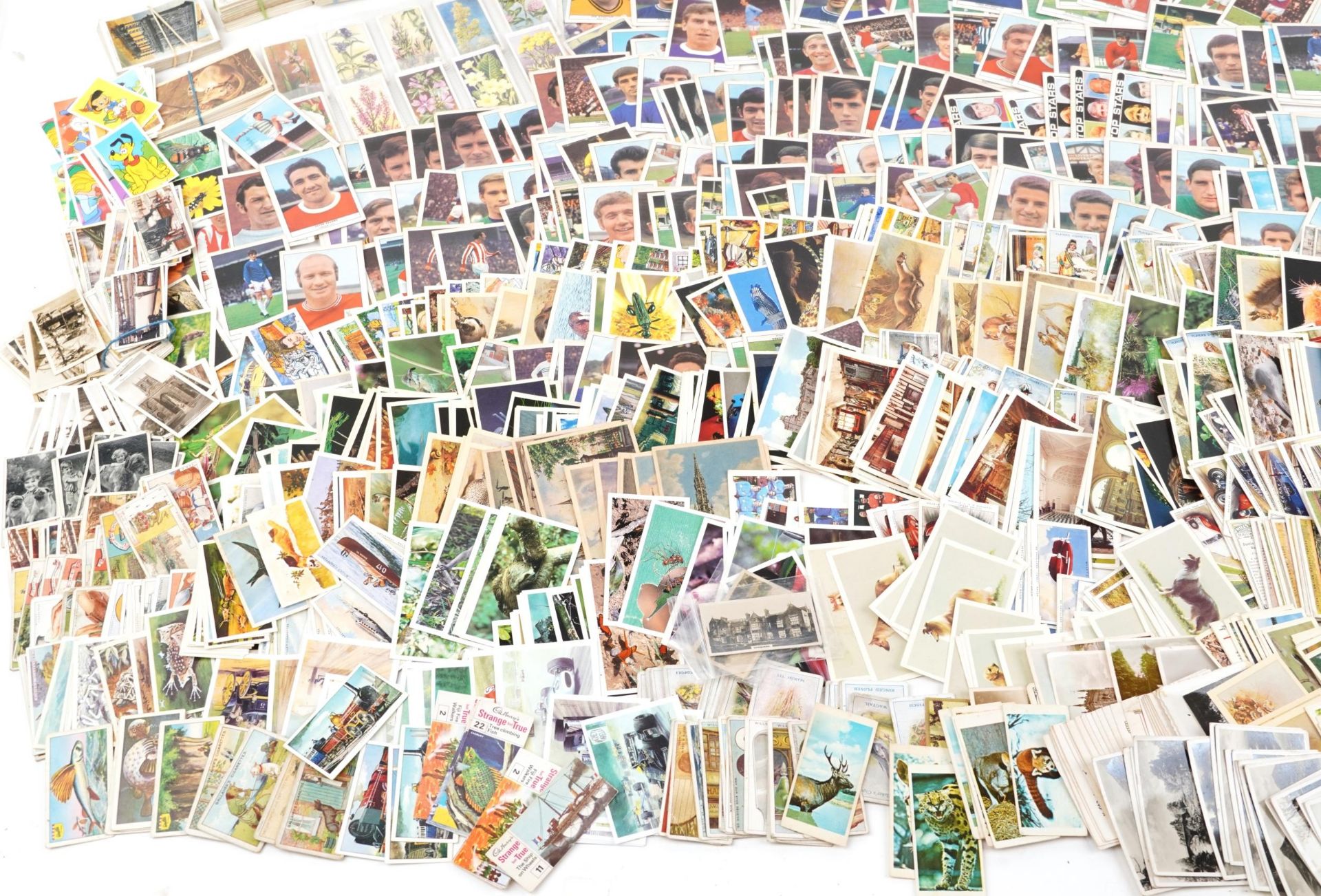 Large collection of cigarette cards : For further information on this lot please contact the - Bild 4 aus 5