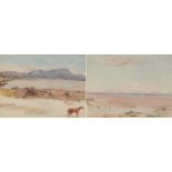 A G Taylor - Hottentots Halland from Muizenberg and Muizenberg Vlei, pair of signed South African