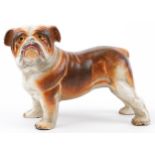 Painted cast iron study of a British Bulldog, 20cm in length : For further information on this lot